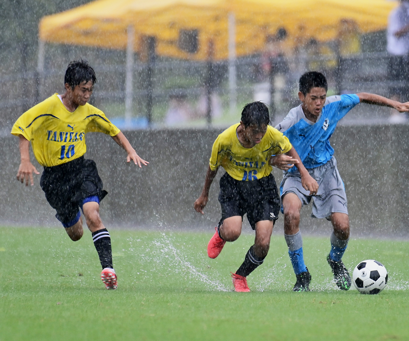 一般社団法人 鹿児島県サッカー協会